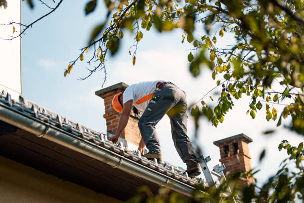 Best Roof Gutter Cleaning  in Penryn, CA